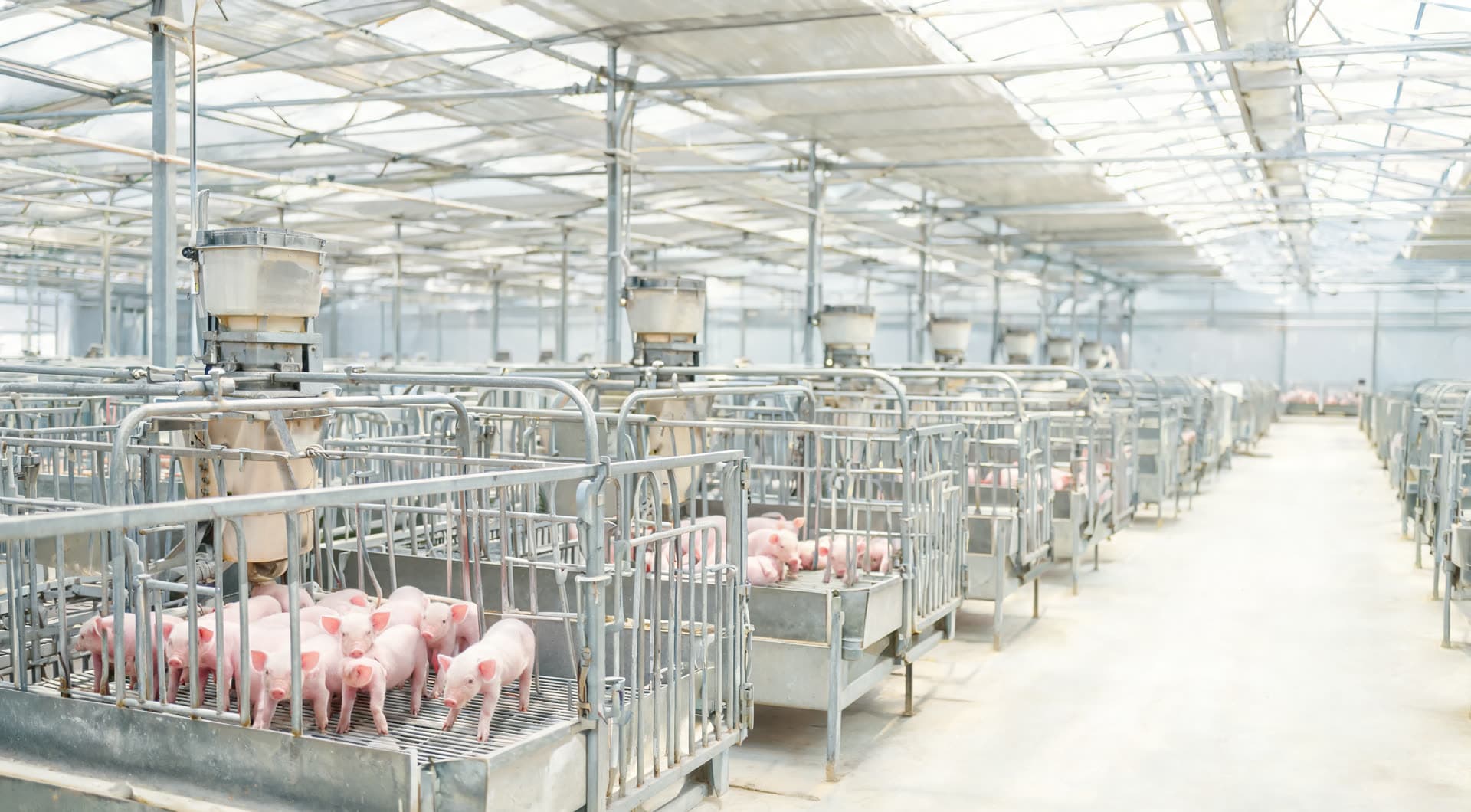 Fideicomiso Agro Ganadero Vita Terra
